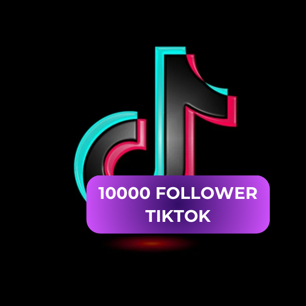 10000 FOLLOWER TIKTOK ITALIANI REALI